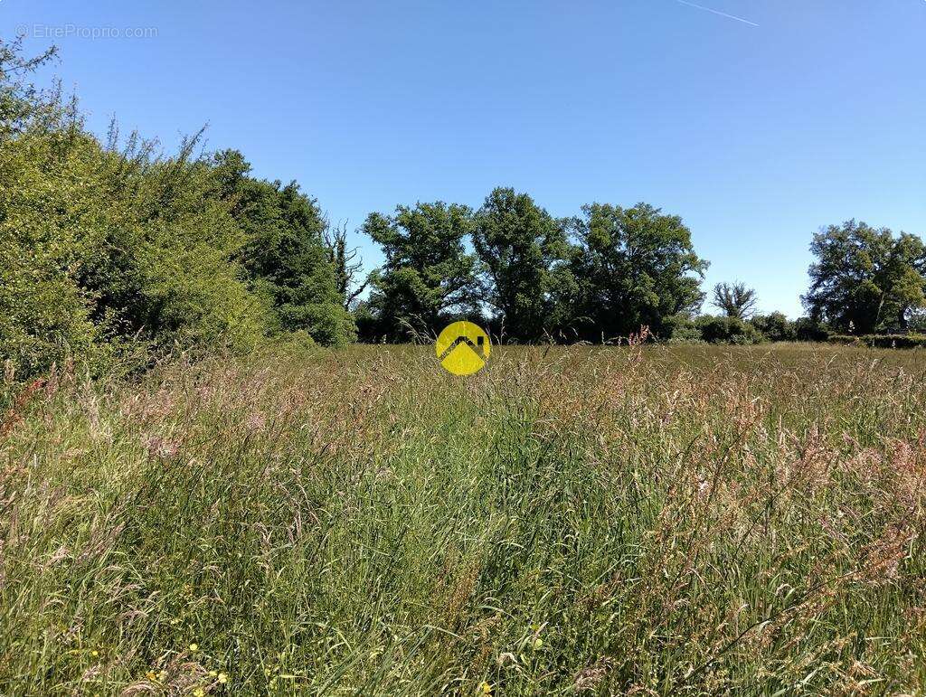 Terrain à LURCY-LEVIS