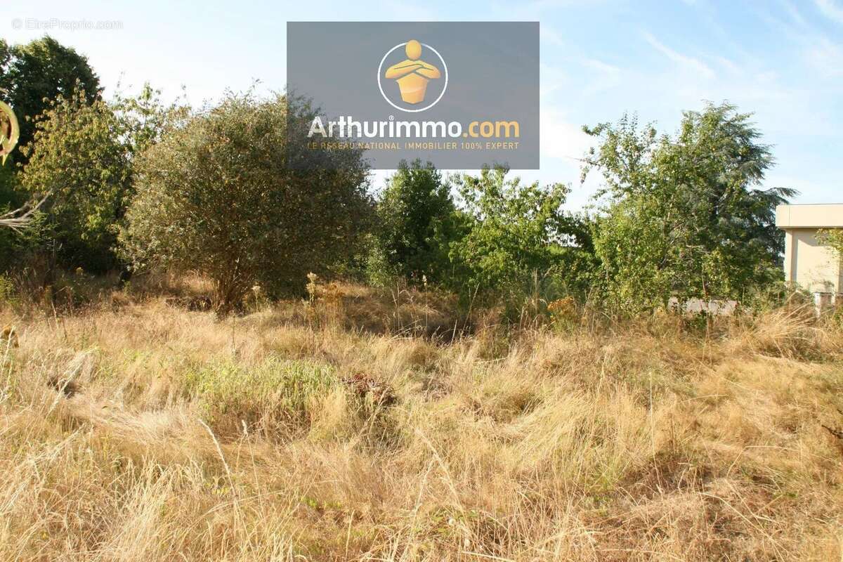 Vente Terrain Josselin(56120) 34 000ï¿œ - photo 6