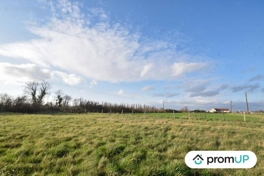 Terrain à CHEMILLY-SUR-YONNE