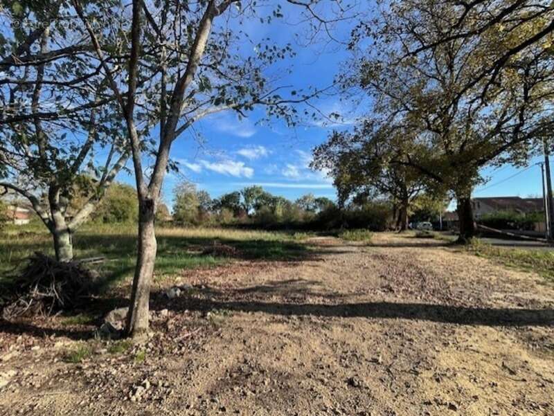 Terrain à PLAISANCE