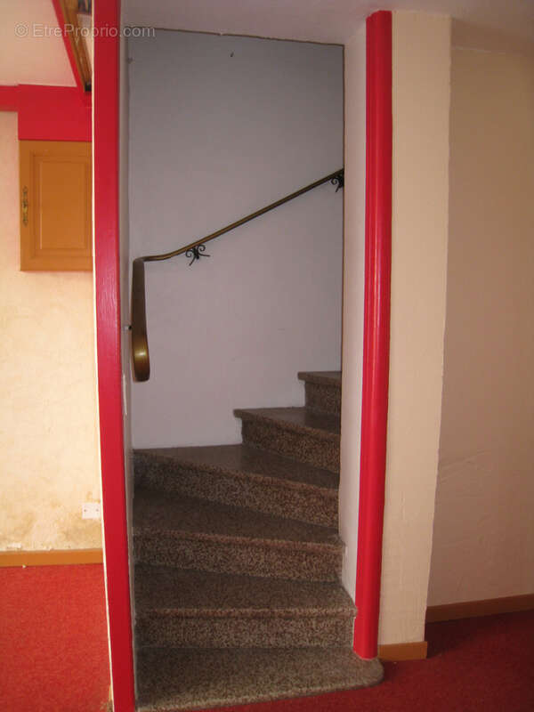 Commerce à ARGELES-SUR-MER