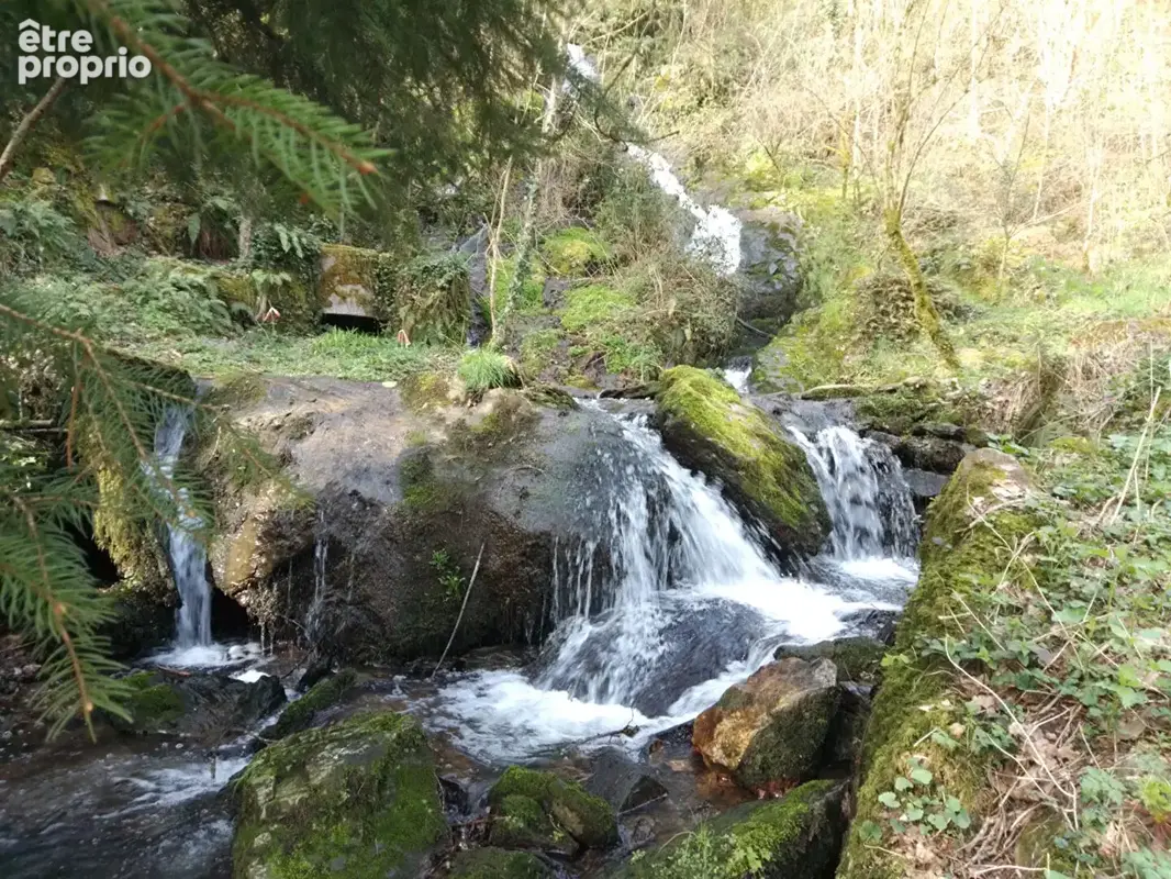 Ancien moulin au bord du Viaur -Vue magnifique sur l'eau - 185 m² habitables - photo 10