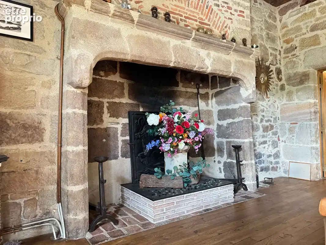 Hôtel particulier - photo 4