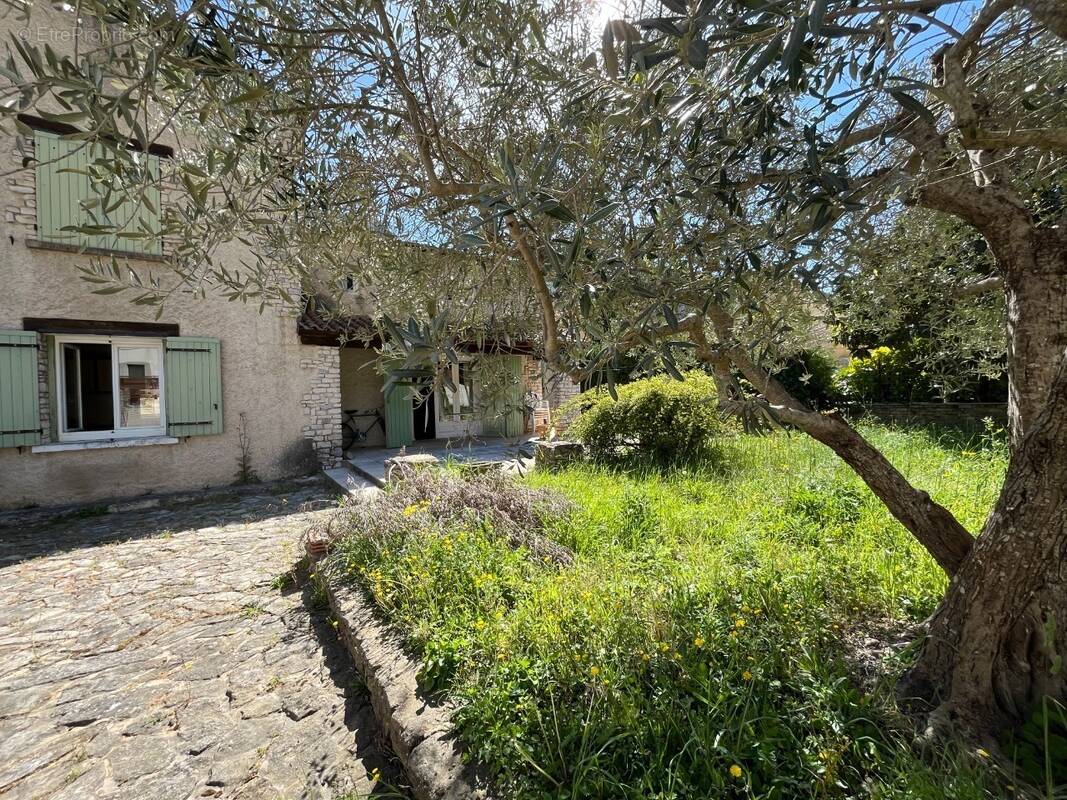 FACADE COTE JARDIN - Maison à FONTAINE-DE-VAUCLUSE