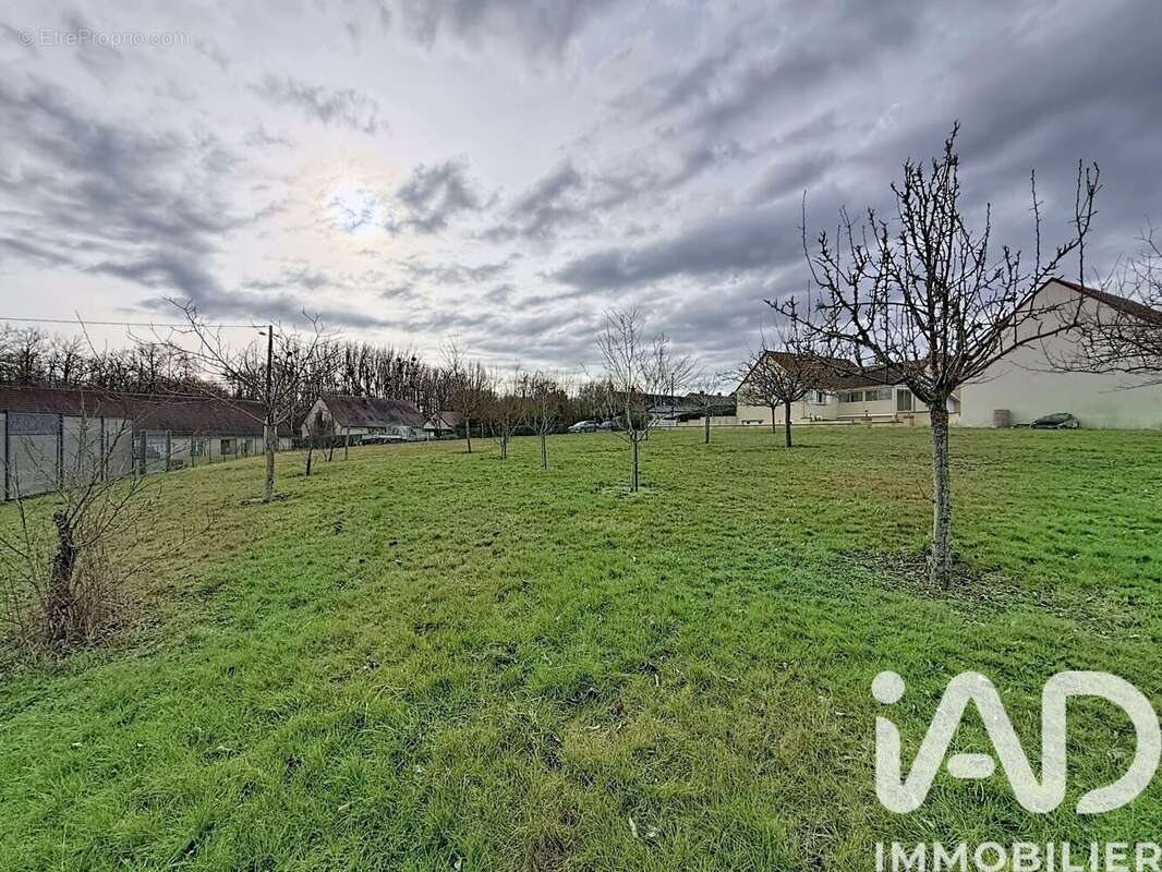 Photo 6 - Terrain à VALLIERES-LES-GRANDES