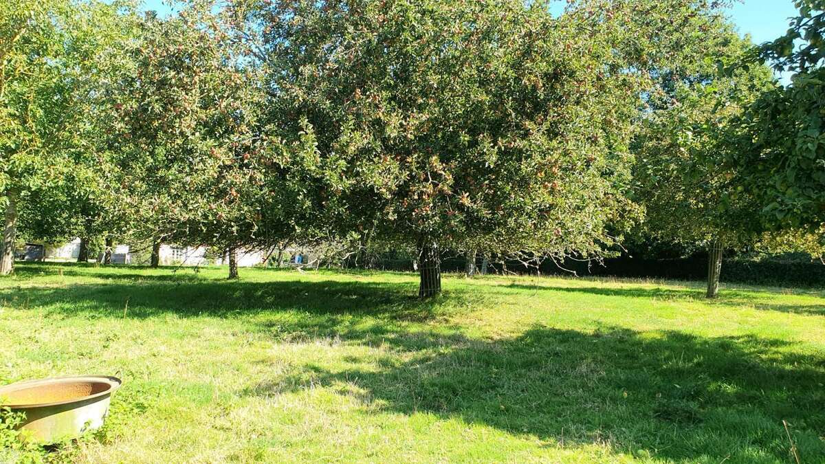 Maison à SAINTE-FOY