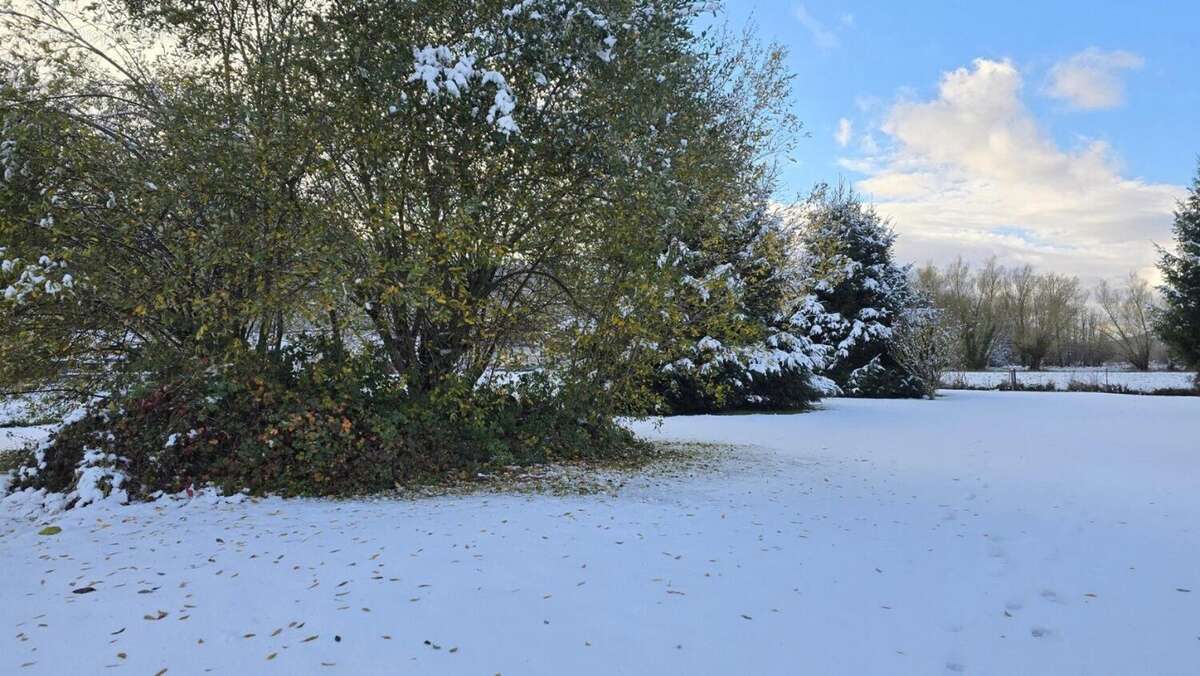 Photo 4 - Terrain à BELESTA