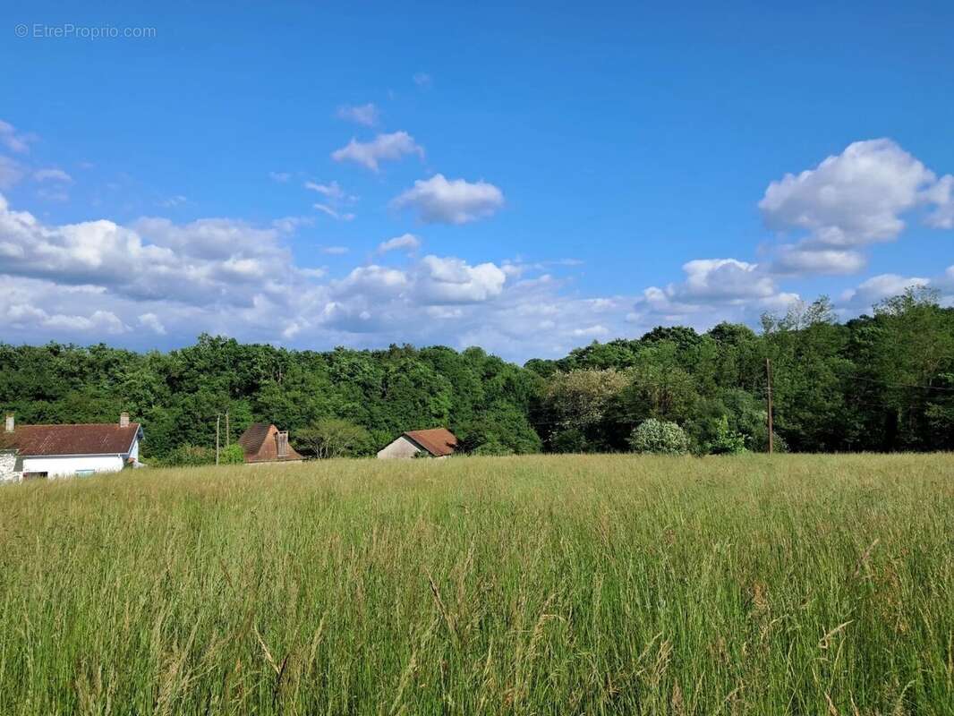 Terrain à SALLES-MONGISCARD