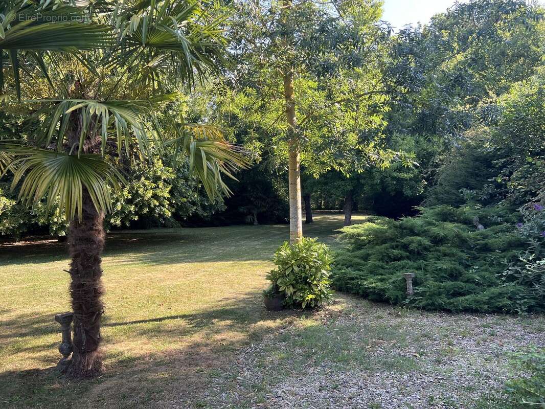 Maison 293 m² à Frieres-Faillouel  - photo 3