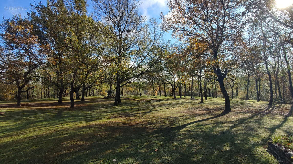Maison à MONTAIGU-DE-QUERCY