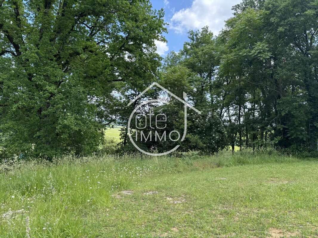 Sainte Colombe : Terrain à bâtir - 1165 m² - photo 5