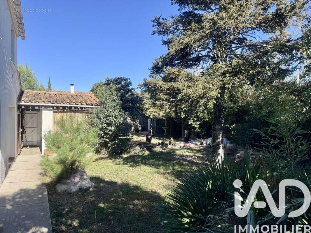 Photo 3 - Maison à SAINT-ESTEVE