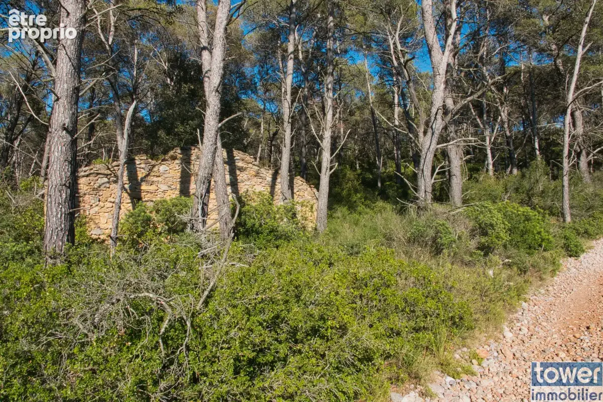 Fabrezan-Terrain 4 ha non constructible en Zone Naturelle - photo 17
