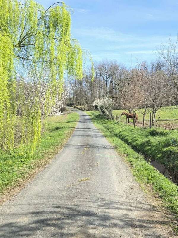 Maison à LISLE-SUR-TARN