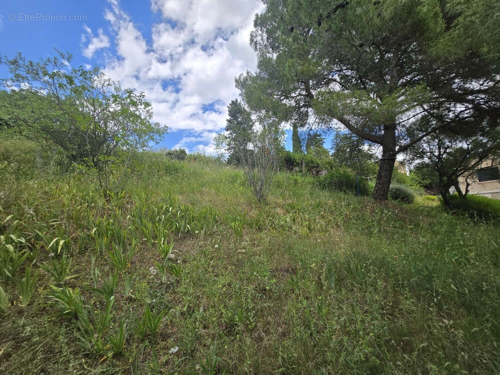 Terrain à CASTELNAU-DE-GUERS