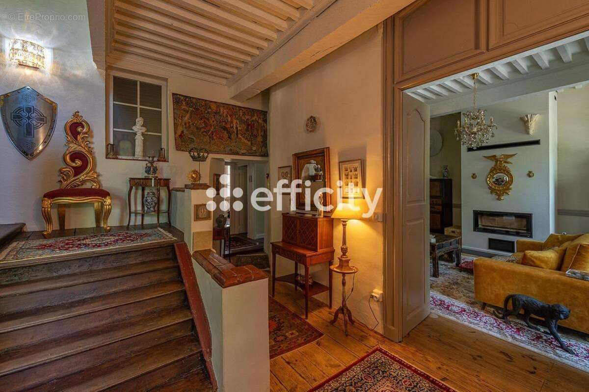Maison 242 m² à Villeneuve-Sur-Vere  - photo 2