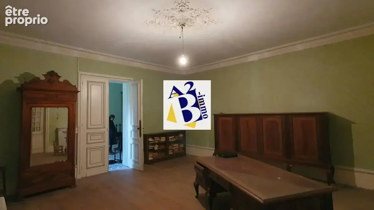 10 Min Cognac, Maison de Maitre à rénovée, dépendances - photo 17