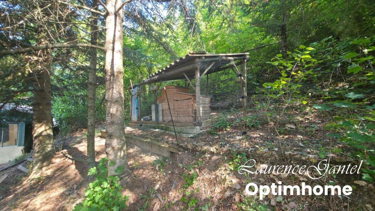 Maison atypique avec dépendance et terrain de 1 550 m² sans vis-à-vis – Barrême - photo 21