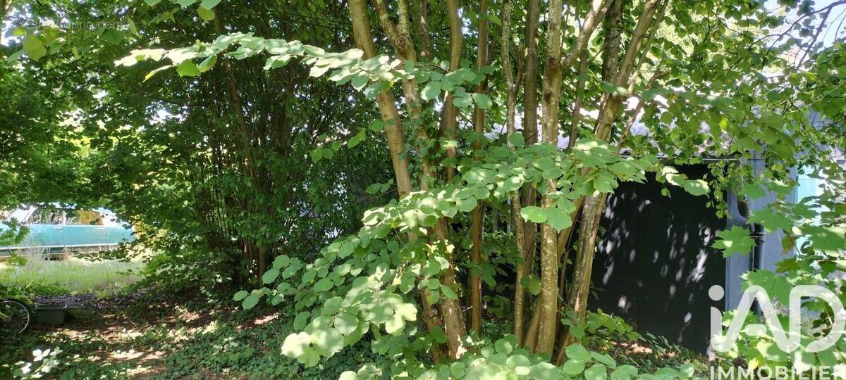 Photo 1 - Maison à L'ISLE-ADAM