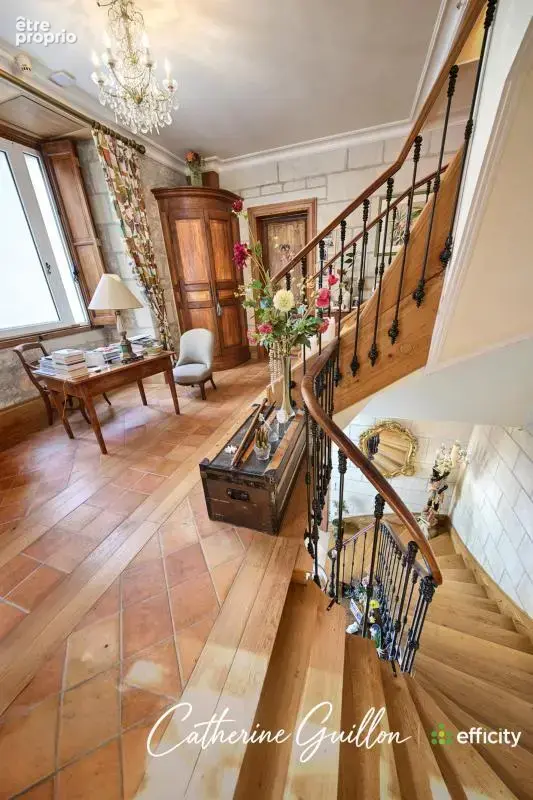 Maison 18 pièces 560 m² à vendre à Ingrandes (86220) - photo 12