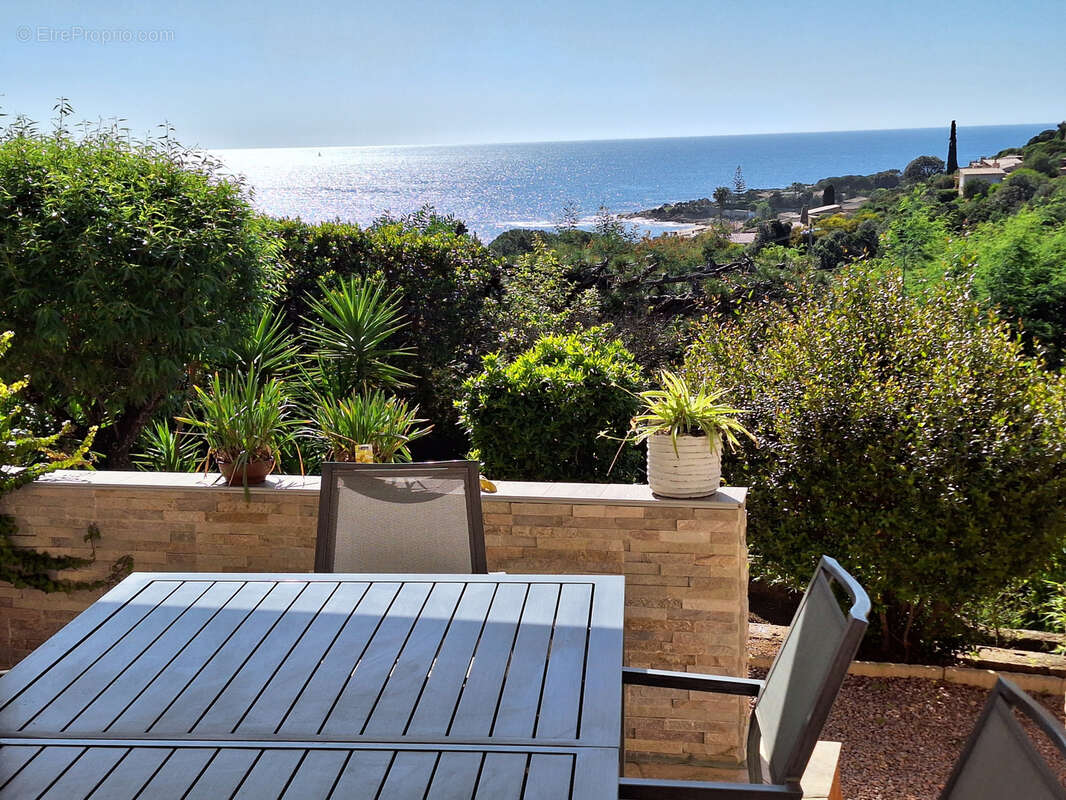 Maison à PIETROSELLA