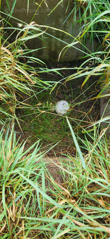 Terrain à TORCY-LE-PETIT