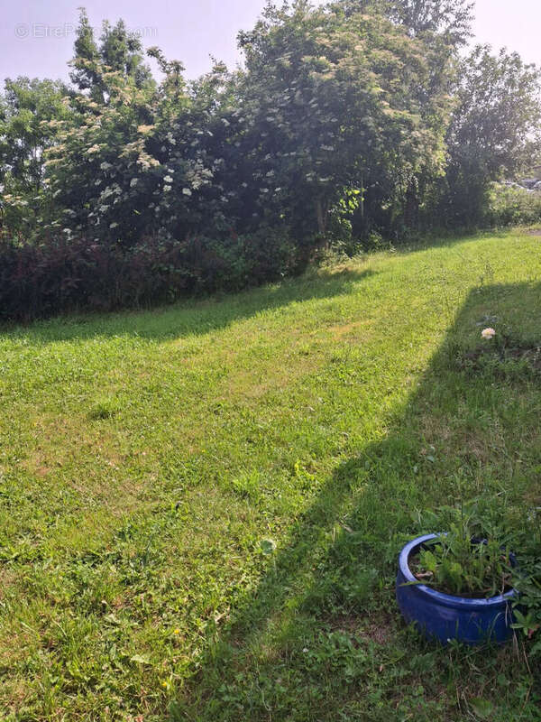 Photo 8 - Commerce à SAINT-FERREOL-D'AUROURE