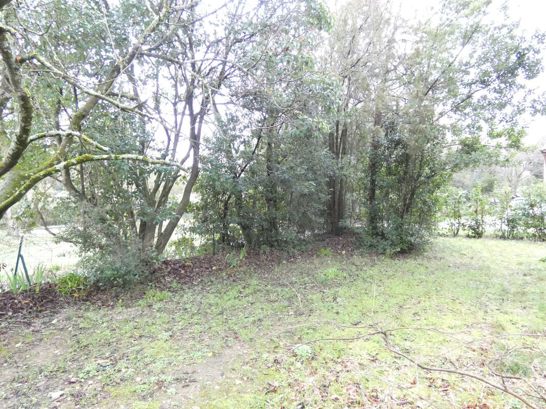 Maison à SAINT-PRIVAT-DES-VIEUX