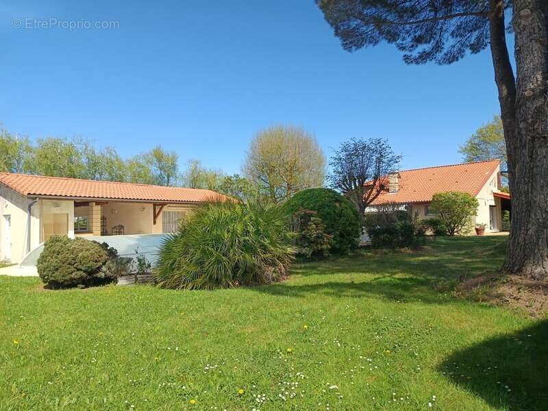 Maison à AIRE-SUR-L'ADOUR
