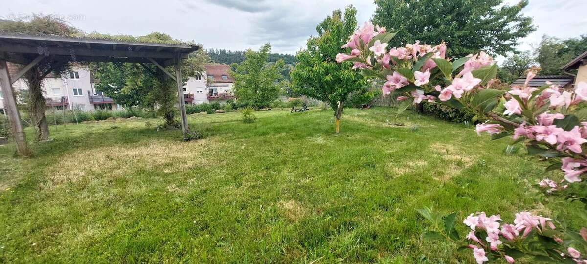 Photo 5 - Terrain à LUTZELHOUSE