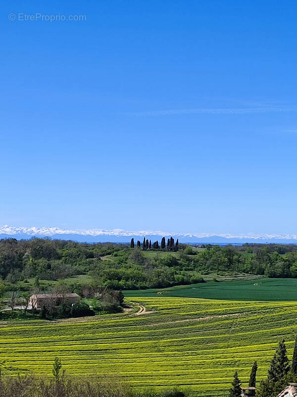 Maison à SAINT-FELIX-LAURAGAIS