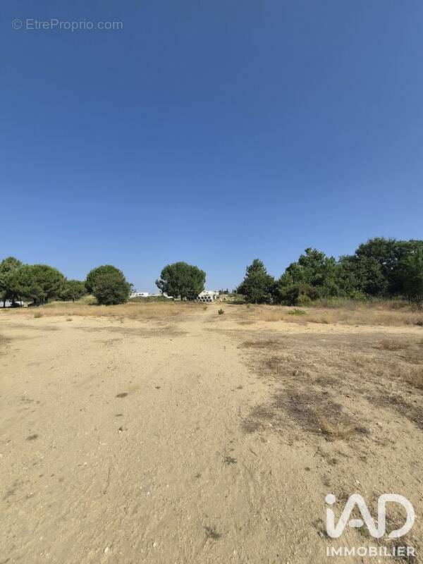 Photo Terrain à Latour-Bas-Elne au prix de 234 000€