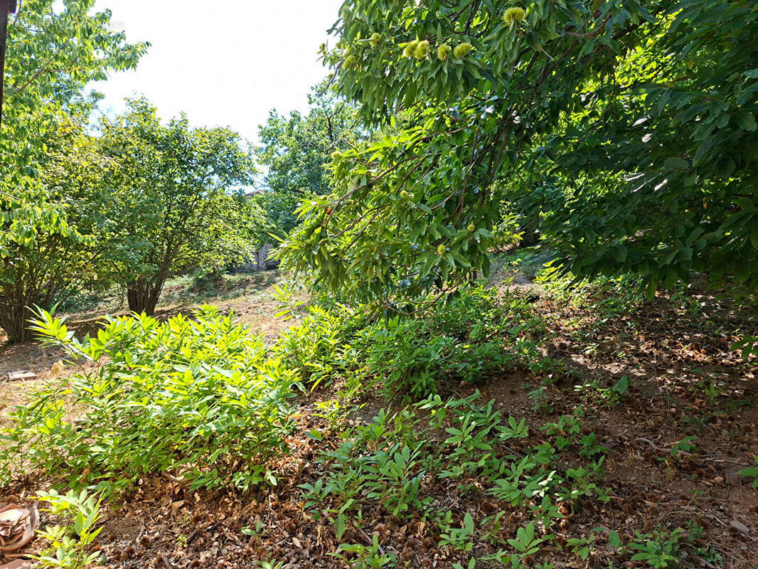 Villa à finir à vendre au Collet de Dèze - 4 pièces, 86 m² sur grand terrain - photo 14