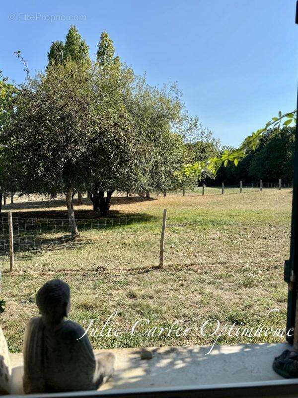 Propriété équestre  (72) - photo 15