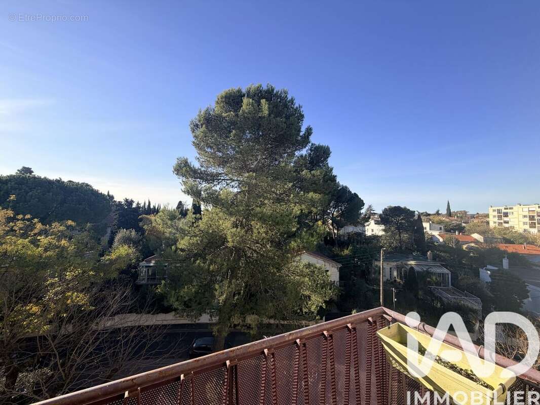 Photo 6 - Appartement à MONTPELLIER