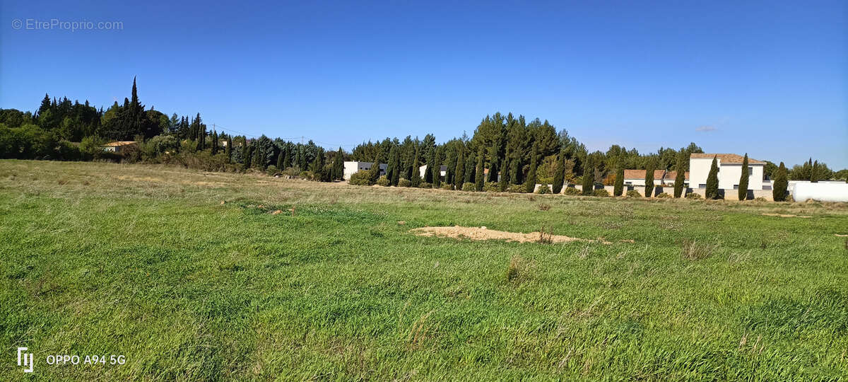 Terrain à FERRALS-LES-CORBIERES