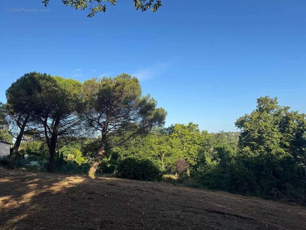 Cornebarrieu - terrain 3645 m2 - photo 3