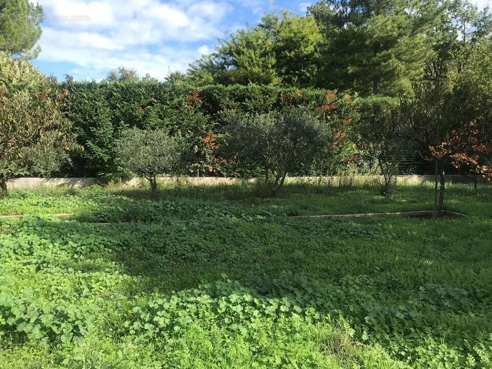 Terrain à PIERREFEU-DU-VAR