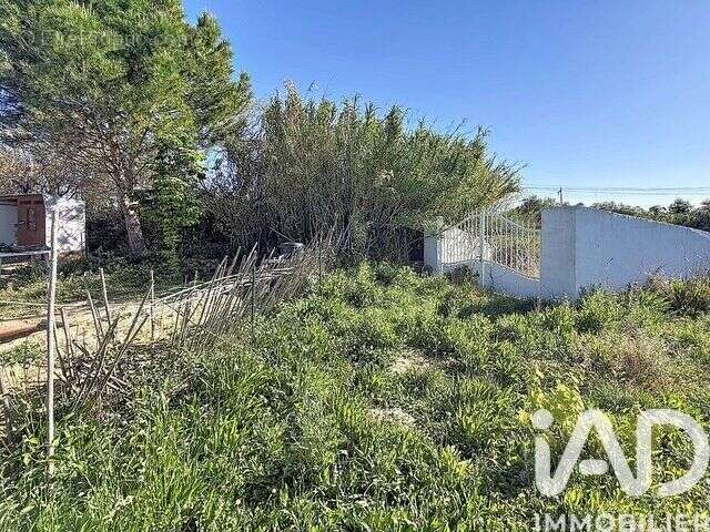 Photo 8 - Terrain à PUISSALICON