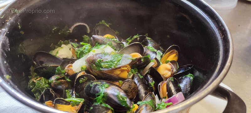 Commerce à GUILVINEC