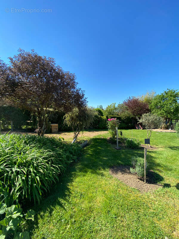 Maison à CREUZIER-LE-VIEUX