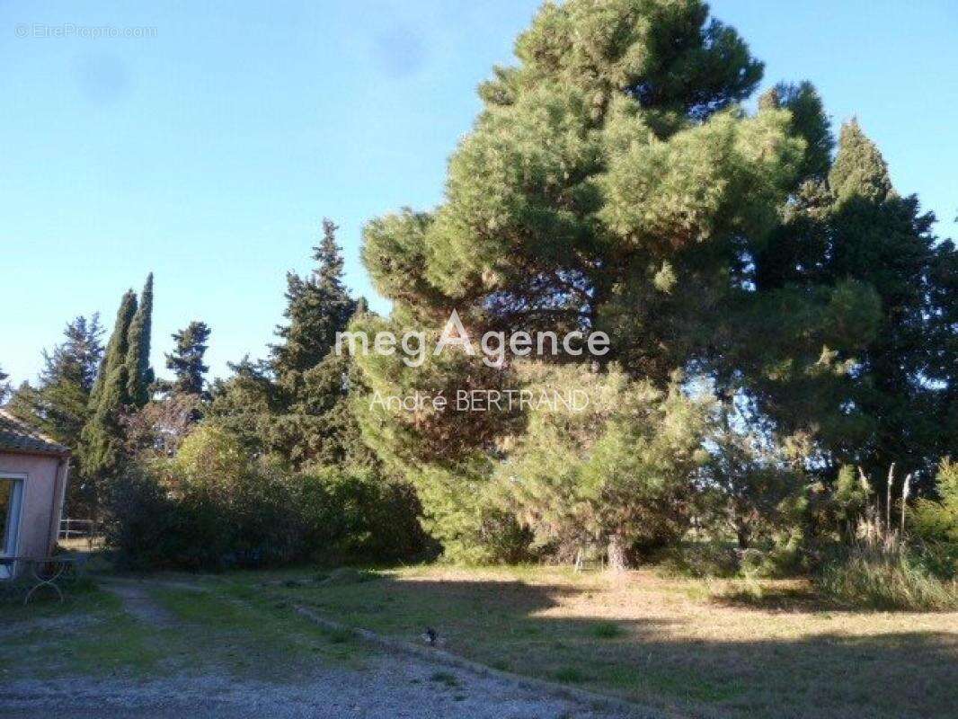 Maison à COLOMBIERS