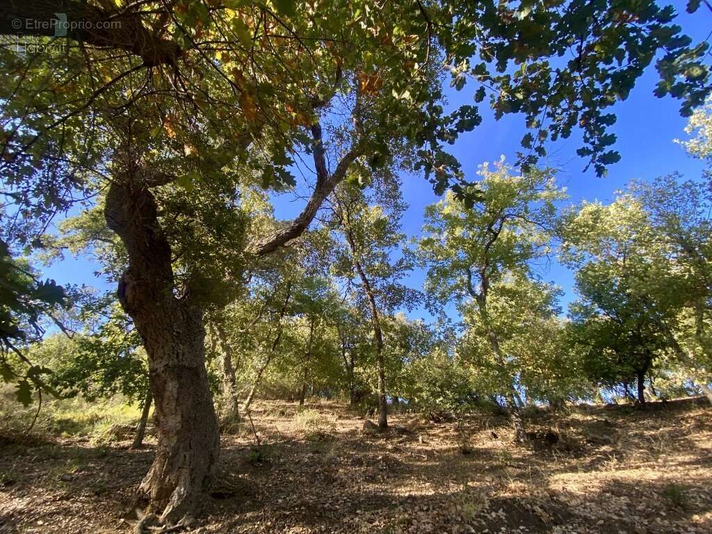 Maison à BAGNOLS-EN-FORET