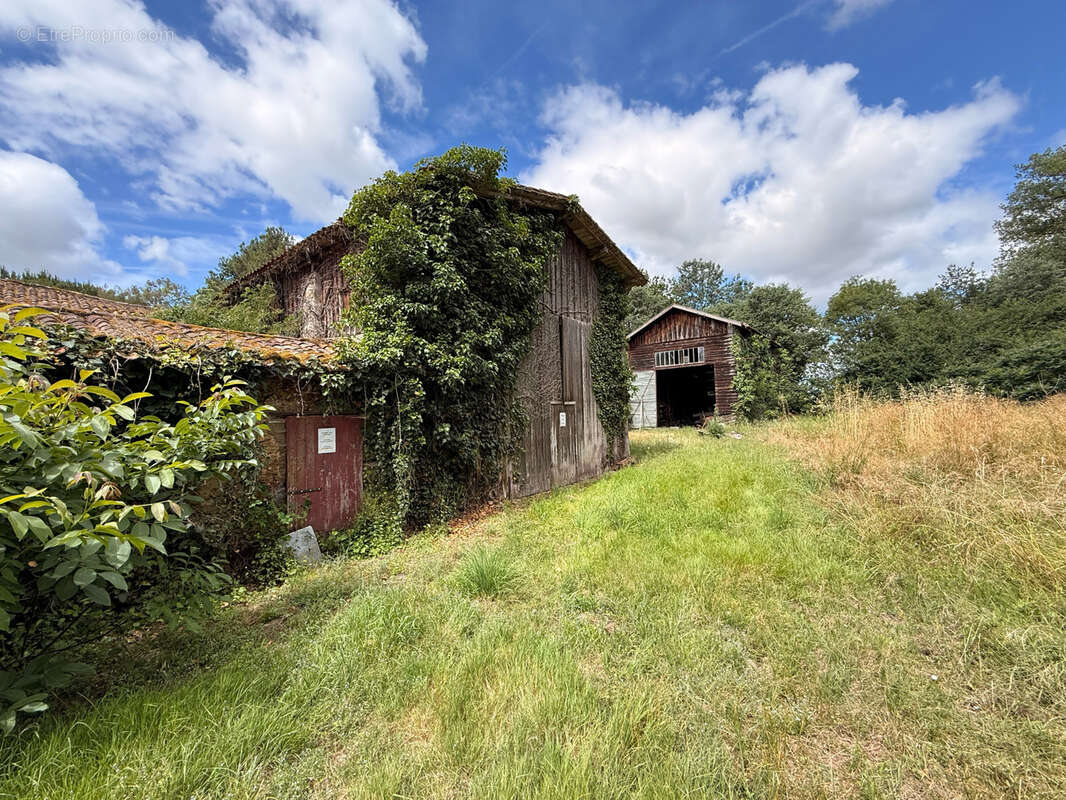 Maison à MIRAMONT-DE-GUYENNE
