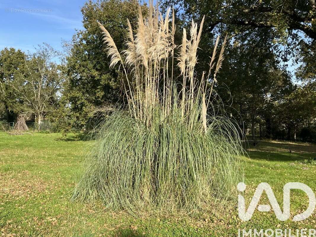 Photo 2 - Maison à SAINT-VIVIEN-DE-MEDOC