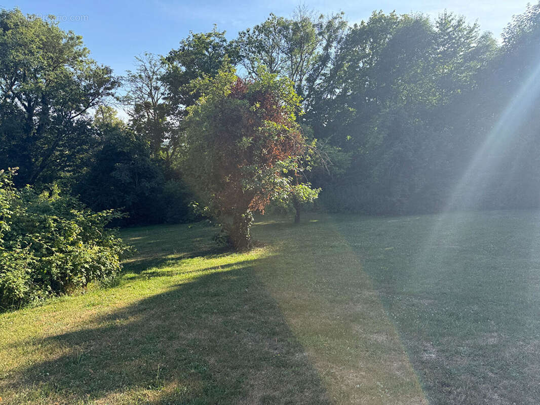 Terrain à CHEVREUSE