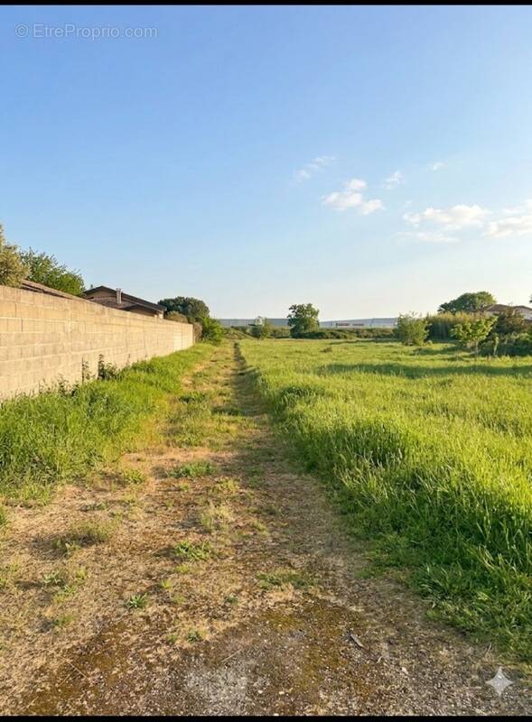 Terrain à PLAISANCE-DU-TOUCH