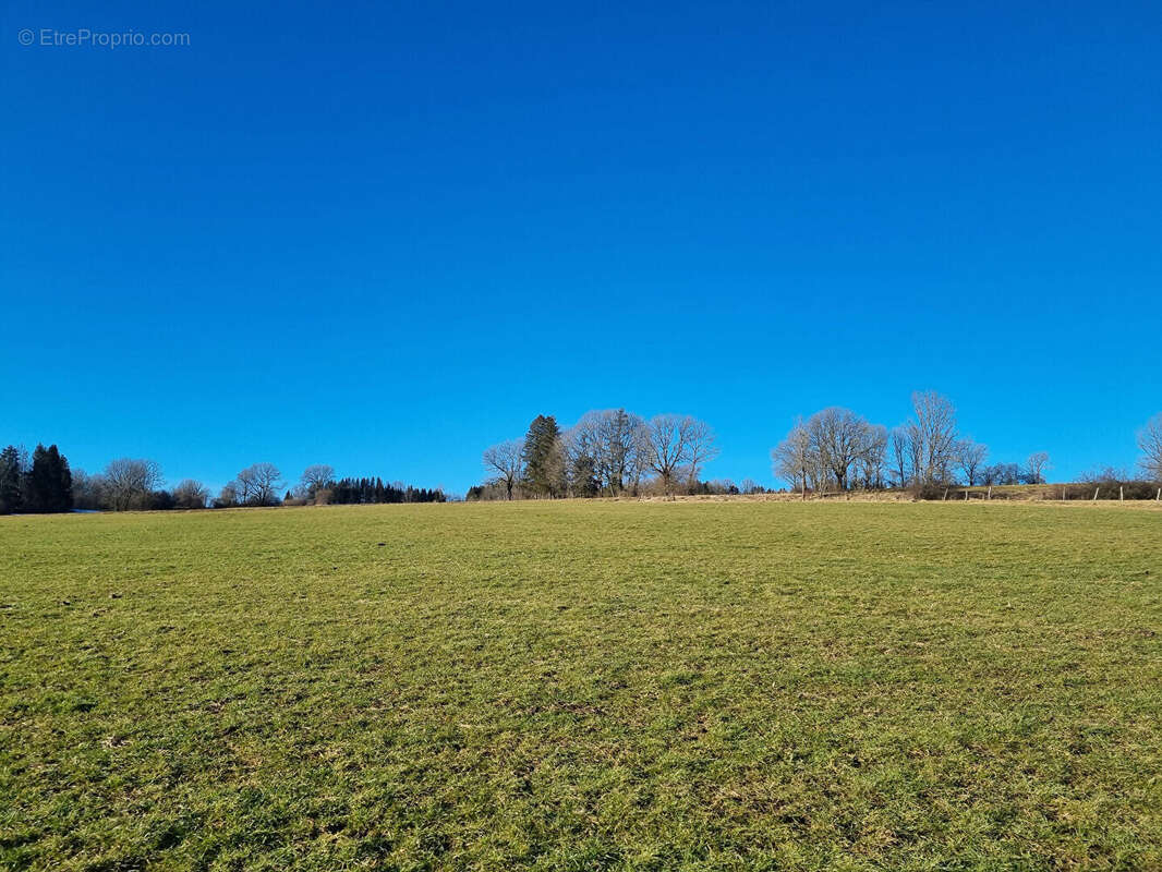 Terrain constructible viabilisé 669 m² - La Longeville - Entre Pontarlier et Morteau - photo 2
