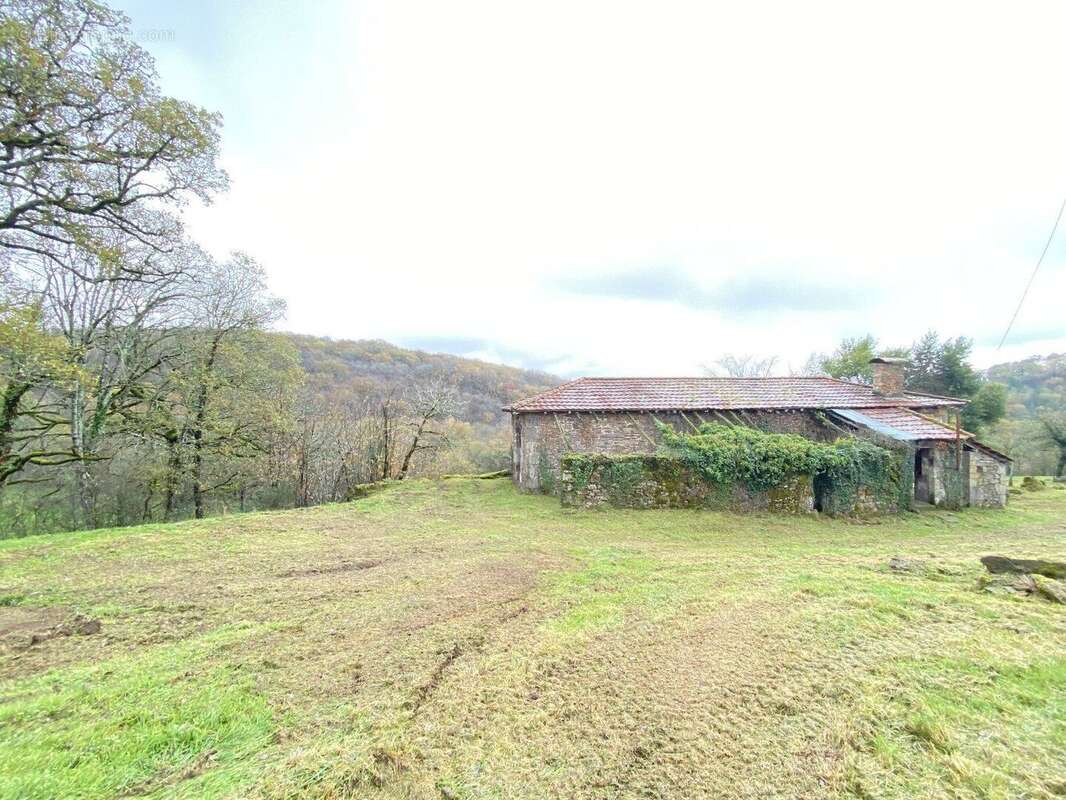 Exceptionnel : Devenez propriétaire de votre propre colline - photo 8