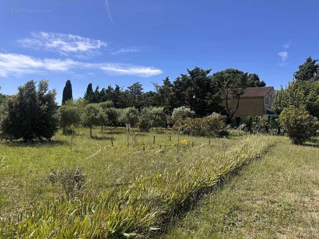 Maison à CHATEAUNEUF-DU-RHONE